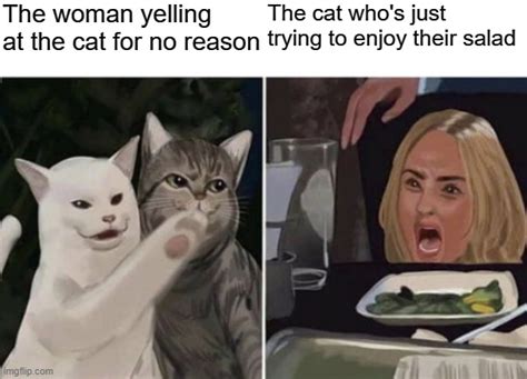 Cat Yelling At Woman Memes Imgflip