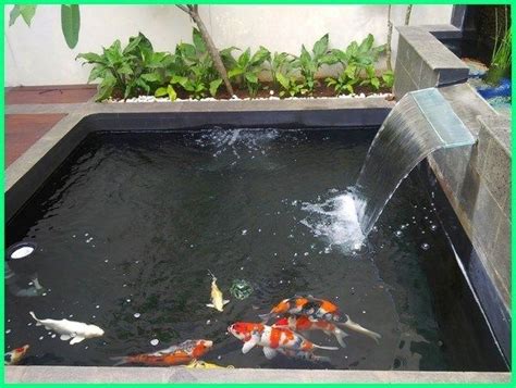Inspirasi Kolam Ikan Hias Sederhana dengan Tanaman Air - Dunia Fauna