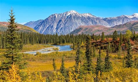Things To Do In Denali National Park Best Attractions And Tours