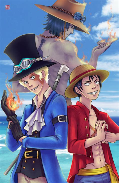 26 One Piece Ace Sabo Luffy Background Networkadministratos