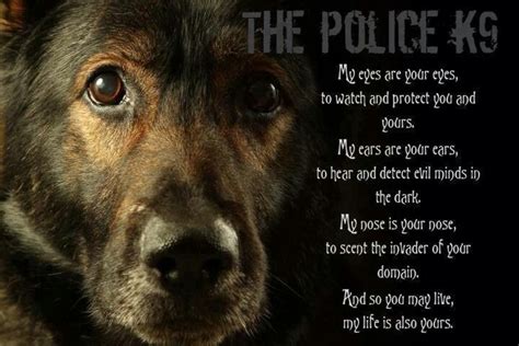 K9 Dog Quotes Inspiring Words For Police Dogs And Heroes