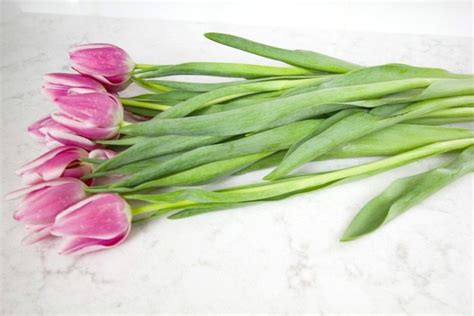 Maybe you would like to learn more about one of these? How to Make Cut Flowers Last Longer | The Creek Line House