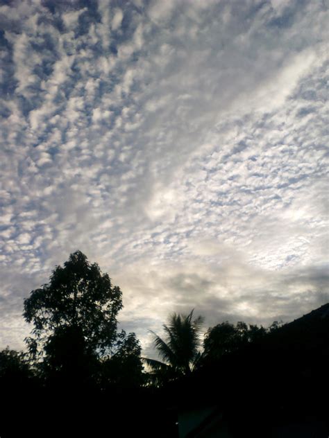 Setiap subtema diuraikan ke dalam enam pembelajaran. 32+ Foto Pemandangan Di Siang Hari - Rudi Gambar