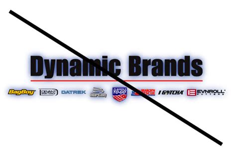 Dynamic Brands Identity Guide