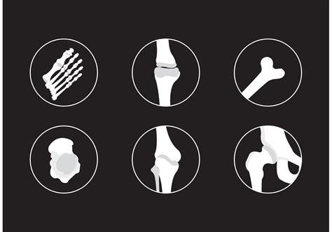 Bones And Joints Vector Icons Download Free Vector Art Stock