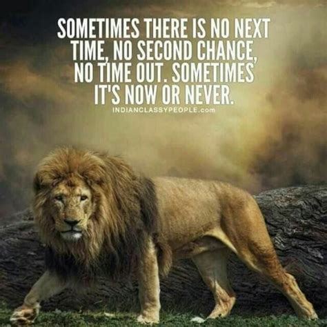 Its Time To Make Your Choice Lion Quotes Warrior Quotes True Quotes