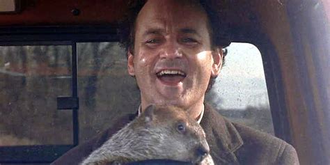 Groundhog Day Saw Bill Murray Bitten by His Animal Co-Star