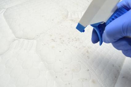 Dark spots (about this size: How to Clean Mattress Stains of All Types | LoveToKnow