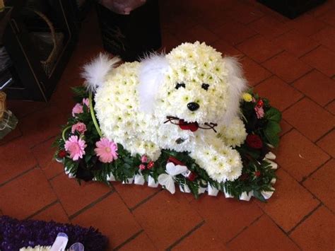 We did not find results for: flower arrangement images with puppies | ... flower ...
