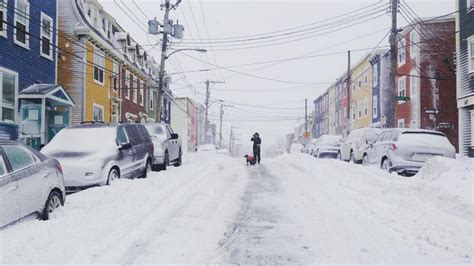 21 Pictures That Perfectly Capture How Insane This Newfoundland Snow