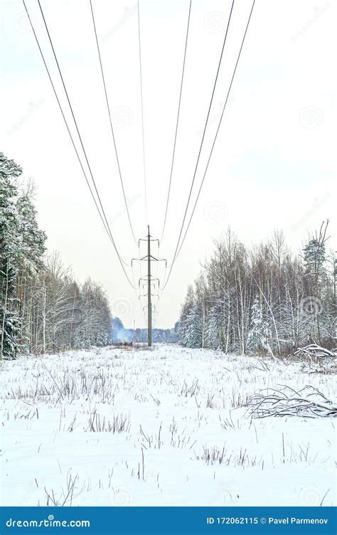 Clearing In The Winter Forest Stock Image Image Of Electric Frosty