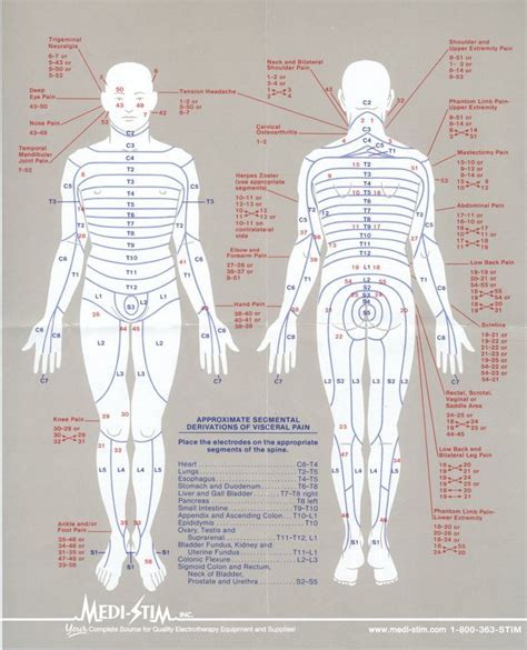 The diagrams below can be used as a guide to demonstrate where to place pads on different muscle groups during connect the electrodes to the lead wires that come with your machine. 23 best Tens Unit Placement Charts images on Pinterest ...