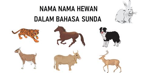 Bahasa Sunda Mengenal Nama Nama Hewan