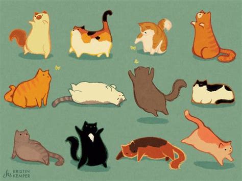 Kristinkemper Mi Animal Favorito Es Gatos Gordos Cats Tumblr Gato