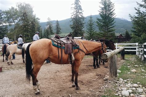 Horseback Riding At Jasper Park Stables