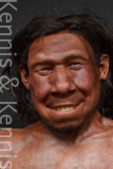 2d and 3d reconstructions of our ancestors made by paleoartists adrie and alfons kennis