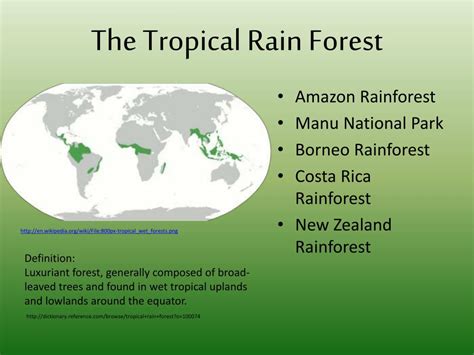 Ppt Tropical Rain Forest Powerpoint Presentation Free Download Id