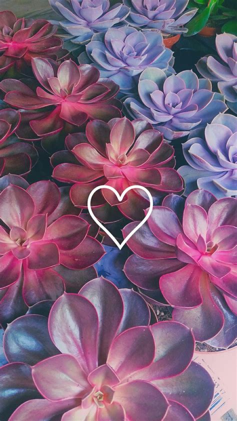Even when no copyright is mentioned, you if your wordpress theme recommend background image sizes, then you can ask your theme having said that, lets take a look at some cool places to find free beautiful background images. Beautiful background ! uploaded by Bunnyboy