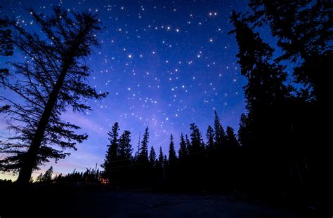 Blue Night Sky Roche Lake Provincial Park Kamloops British