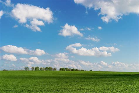 Green Field Blue Sky Photograph By Ken Hurst