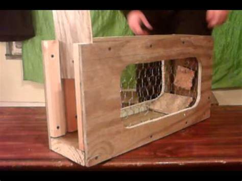 Maybe you would like to learn more about one of these? Homemade humane squirrel and or rabbit trap - YouTube