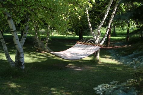 Free Images Summer Relax Backyard Rest Leisure Hammock Outdoors