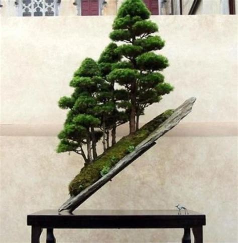 Ten Of The Worlds Most Amazing And Unusual Bonsai Trees