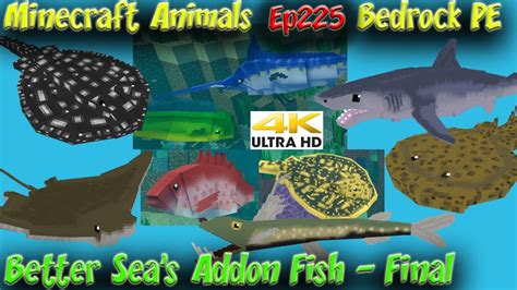 Better Seas Addon Fish Rays And Sharks Showcase Full Final Download