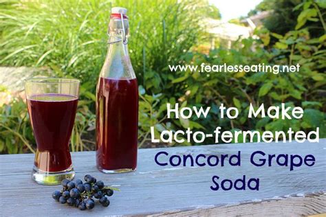 How To Make Lacto Fermented Concord Grape Soda Recipe In 2020 Grape