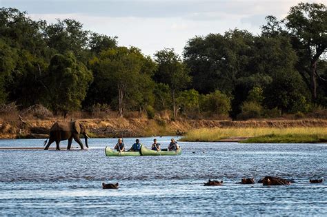 The Best Safari Tours You Can Do In Africa For Any Kind Of Traveller