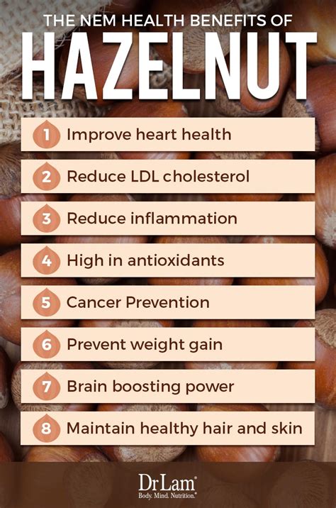 Surprising Hazelnut Benefits You Can Use To Combat Adrenal Fatigue