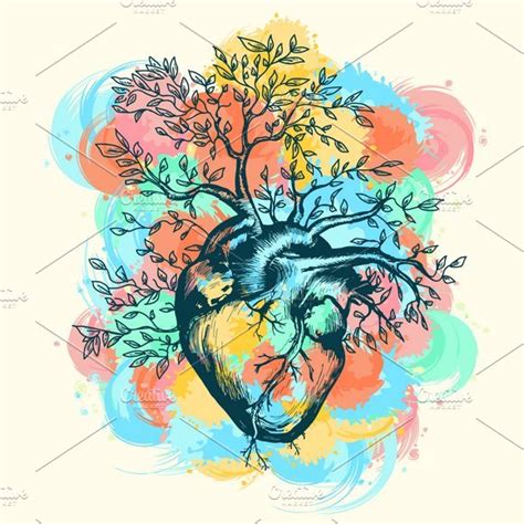 Anatomical Human Heart ~ Graphics ~ Creative Market