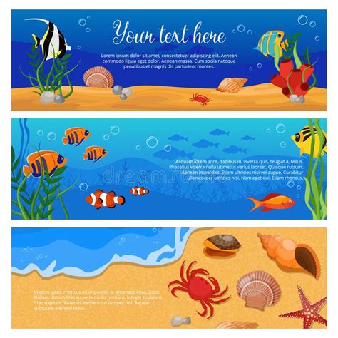 Sea Life Animals Plants Banner Set Stock Vector Illustration Of