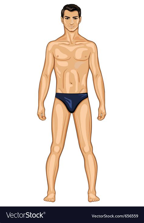 Naked Standing Man Royalty Free Vector Image Vectorstock