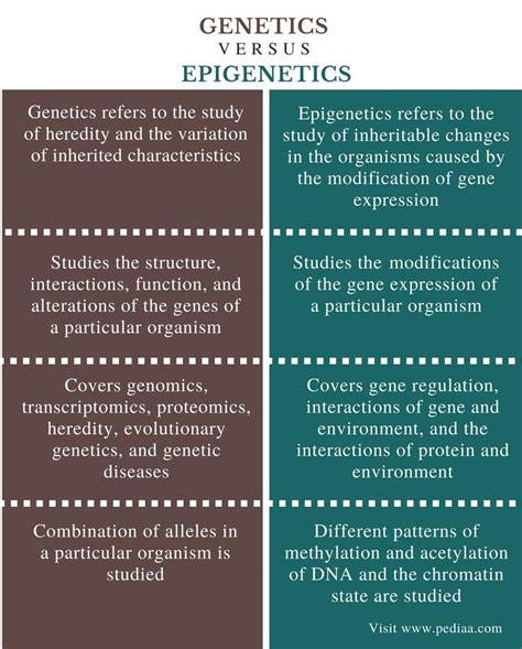 Difference Between Genetics And Epigenetics Definition Fields Role