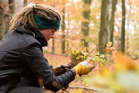 Bergwaldprojekt Freiwillige Verpflanzen In Hardegsen Buchen Wildlinge