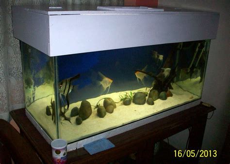 A 30 gallon fish tank is a great alternative to a large aquarium. DIY Fish Tank Canopy | My Aquarium Club