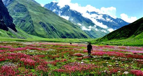 Valley Of Flowers National Park Uttarakhand Nav Uttarakhand