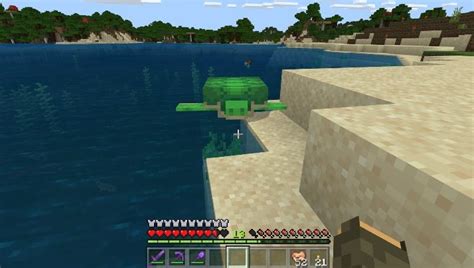 Co Jedzą żółwie W Minecraft - Minecraft: Żółwie - Aktualizacja wodna / Update Aquatic - Minecraft