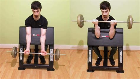 Barbell Preacher Curl Tutorial Pros And Cons