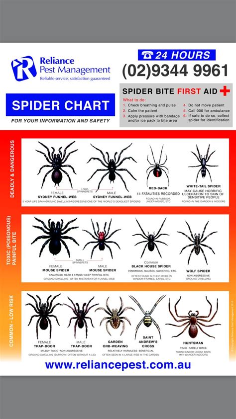 Spider Chart Reliance Pest Management Spider Chart Survival Skills