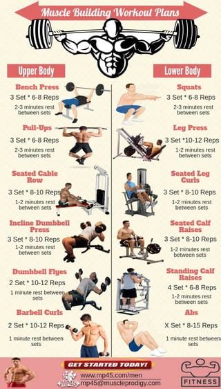 Muscle Building Workout Routine For Men Pdf