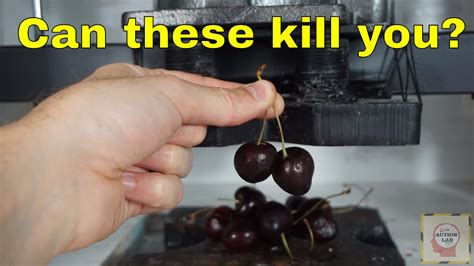 Can Eating Two Cherries Kill You Crushing Cyanide Out Of Cherries With