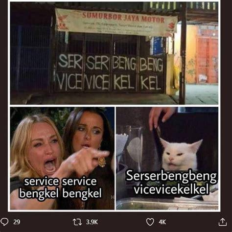 Kocheng oren bar bar skip ! Tak Kalah dari Kucing Oren, 7 Meme Kucing Putih Ini Bikin ...