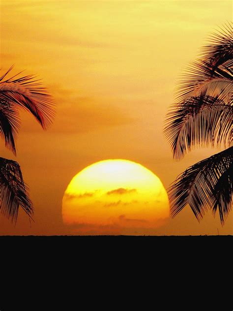 Free Download Dream Wedding With Hawaii Beach Sunset Wallpaper Best