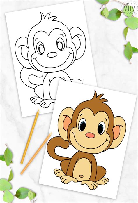 Cute Baby Monkey Coloring Page for Kids | Monkey coloring ...