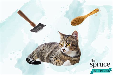 The 8 Best Cat Brushes Of 2021
