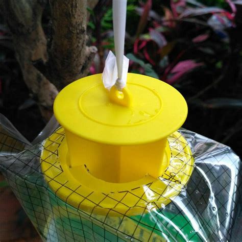 Disposable Fly Trap Catcher Fly Catcher Insect Trap