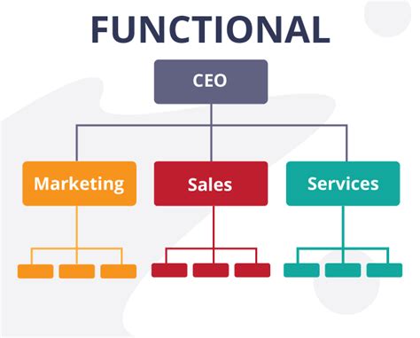 Functional Organizational Structure Learn Diagram