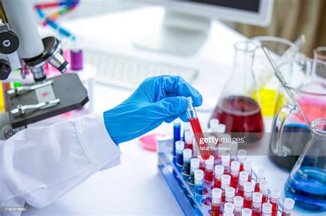 Lab Technician Holding Blood Tube Test Sample In Laboratory High Res